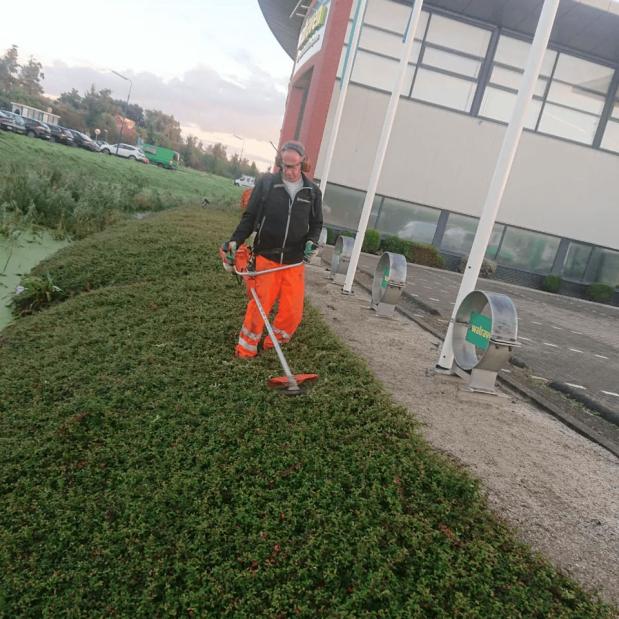 Opfrisbeurt en seizoensonderhoud